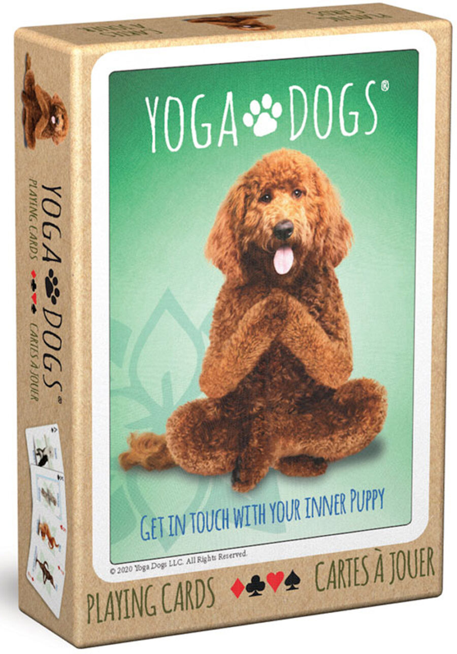 Card game Chiens yoga jeu de cartes à jouer playing cards yoga cards