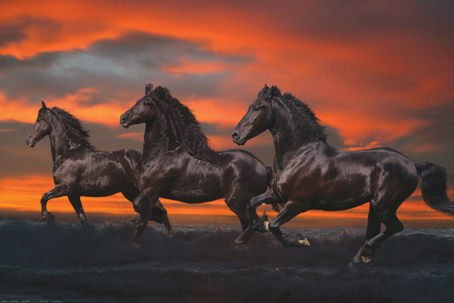 Chevaux fantastiques