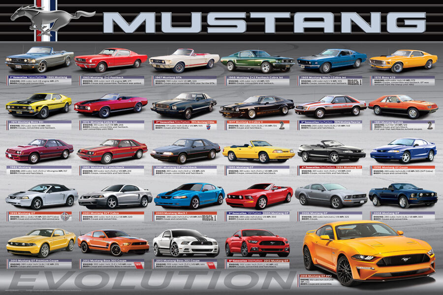 Ford Mustang Evolution 50th Ls