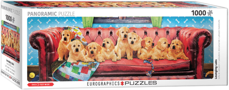 Laboratoires de détente, puzzle 1000 pièces panoramique Puzzles pour adultes casse tête Jigsaw puzzle jeu de société jouets